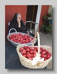 IMG_4612 (Medium)